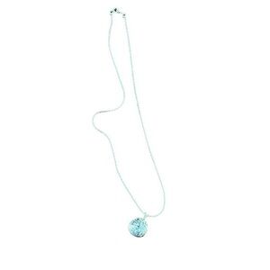 Woman’s Blue Aqua Silver Rose Ball Dome
Necklace